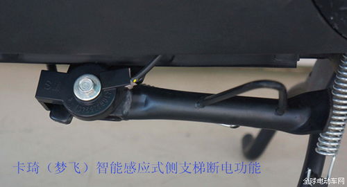 綠能電動車實現多元化升級，重磅來襲引領行業新浪潮